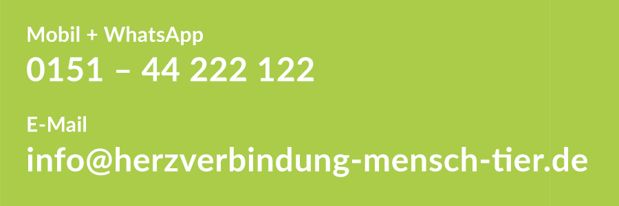 logo holistic-healer-practitioner-02